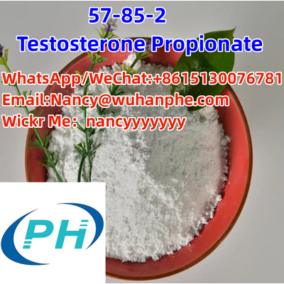 Testosterone Propionate CAS 57-85-2100% customs Factory direct sales Overseas stock Hot selling