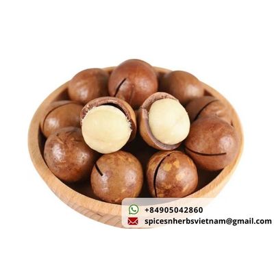 Macadamia nut from Vietnam