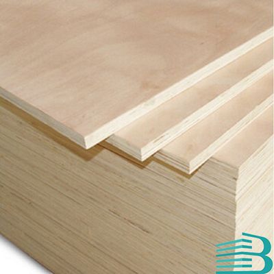 White Birch plywood for furniture and decoration