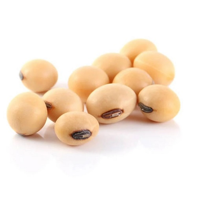 wholesale High Quality Soybean/Soya Bean, Soybean Seeds
