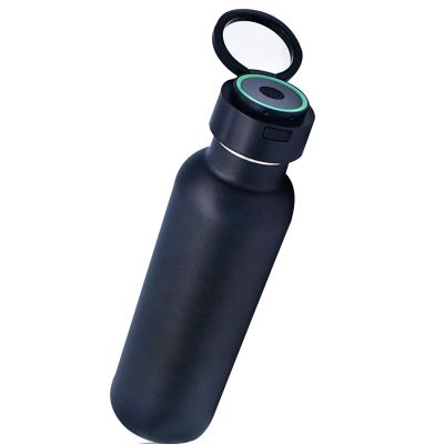 Camping Hiking Handle Held UVC Self-Cleaning Water Bottle With Custom Logo 304 Stainless Steel