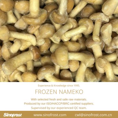 IQF Nameko/Frozen Nameko/Frozen Mushrooms/IQF Mushrooms