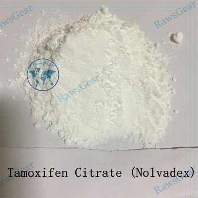 Oral Steroids Tamoxifen Citrate (Nolvadex) Raw Powder 99.7% Purity