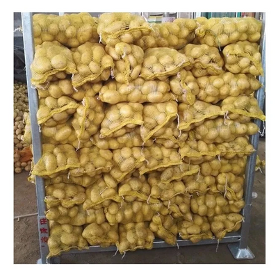 All Sizes Wholesale Fresh Potato For Sale