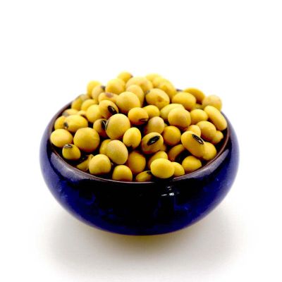 High Quality Based in USA Non-GMO Wholesale Fresh SOYBEAN High Quality Ready to Ship