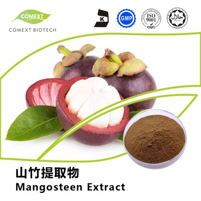Alpha mangostin 10%~90% Mangosteen Extract