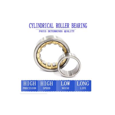 Single/Double Row Deep Groove Ball/Cylindrical, Spherical, Tapered, Needle, Roller Bearing