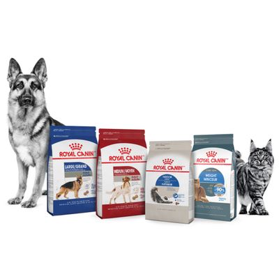 royal canin cat and dog food. https://www.turkishmetromarket.com/product/royal-canin-cat-and-dog-foo