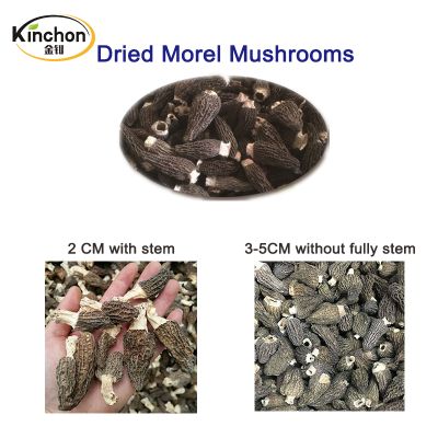 Dried Morel Mushrooms with stem 2CM / 3-5 CM without stem