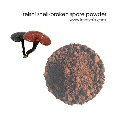 organic reishi mushroom powder extract