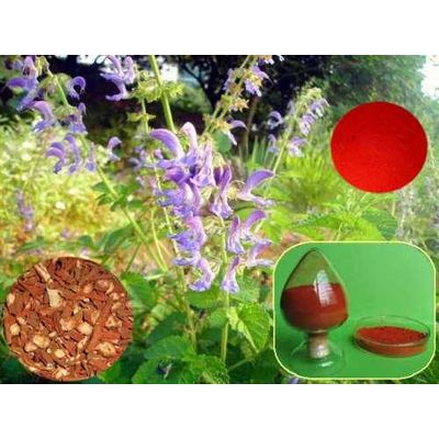 Salvia Miltiorrhiza Extract / Danshen Extract