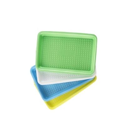 Disposable PS Foam Packaging Tray