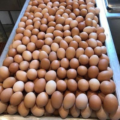 Fresh White and brown table eggs