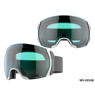 Ski Goggles WS-G0168