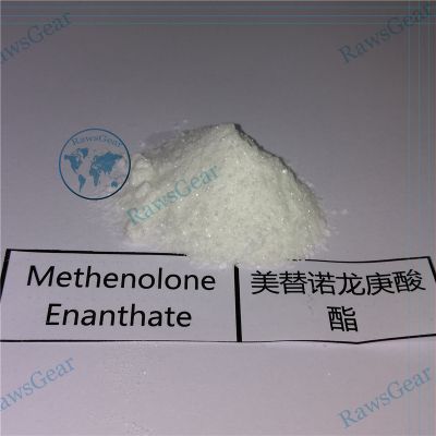 Methenolone Enanthate Primobolan Powder 99.3% Purity