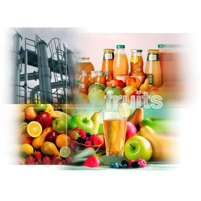 Fruit processing Plant, fruit plant, fruit juice processing machine, apple/pear/peach/grapes/banana/