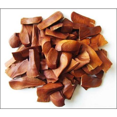 Mahogany - Teak seeds, Black wood, Siamese Rosewood, Rosewood - Agarharvest