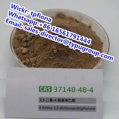 4-Amino-3,5-dichloroacetophenone BMK PMK power 5cl