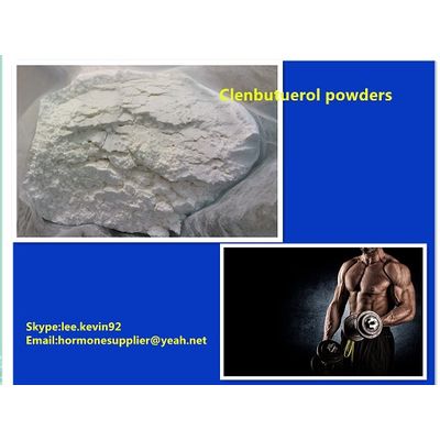 99% quality raw powders Clenbuterol HCL CAS21898-19-1 directly from factory