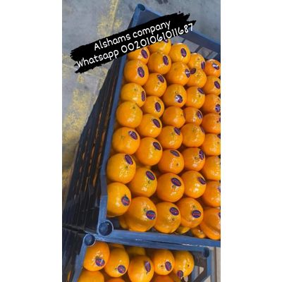 Fresh mandarin murcotte