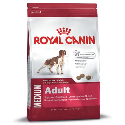 Royal Canin Maxi Dry Dogs food
