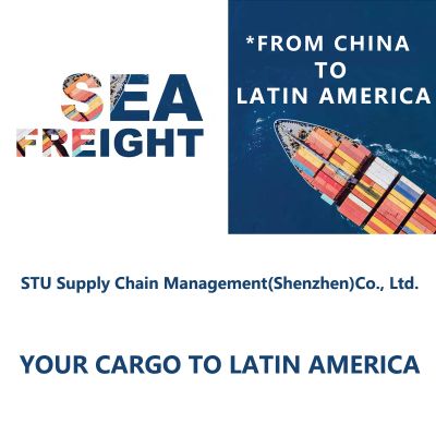 China Freight Forwarder Sea Freight To Argentina | FCL/LCL Shipments