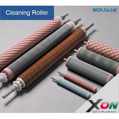Cleaning Roller