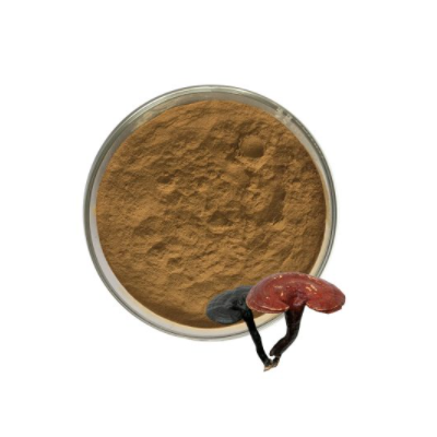 Lingzhi/Reishi powder extract powder