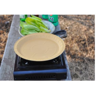 Disposable Frying Pan - SUNG CHANG INDUSTRY