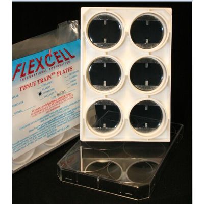 flexcell Linear Tissue Train Culture Plate
