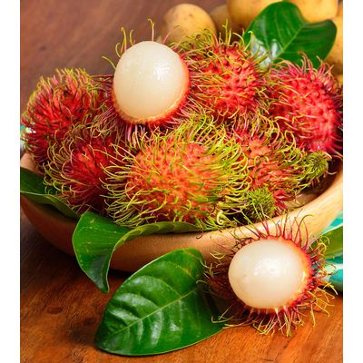 High Quality Tropical Fruits From Vietnam - Fresh Rambutan Fruit