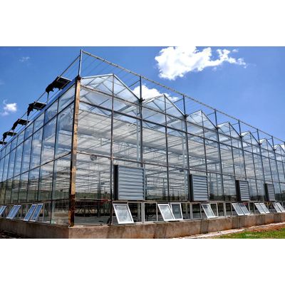 Steel Structure Greenhouse
