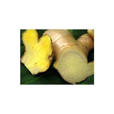 FRESH GINGER WITH BEST PRICE ONLY IN VIETNAM!