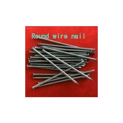 common round wire nail with good qualtiy