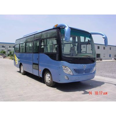 bus, minibus, passenger bus