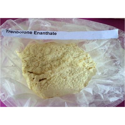 Trenbolone Enanthate TRE CAS No10161-33-8 High Purity Muscle Building Steroid
