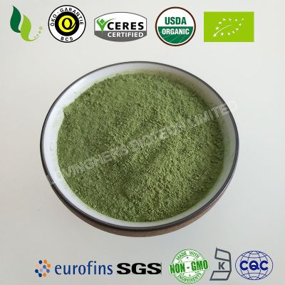 Organic barley grass powder/ juice powder