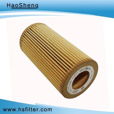 China Manufacturer Auto Oil Filter for Audi (06D 115 562)