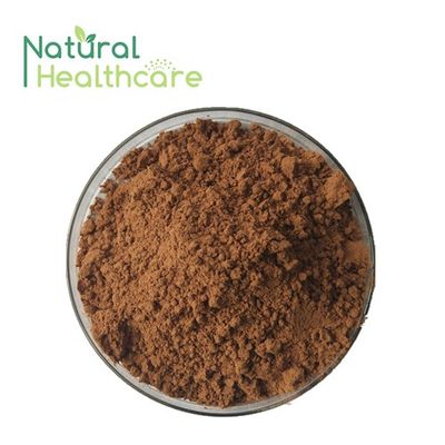 Over 10 Years Specialized In High Quality Cocoa Powder