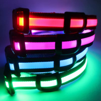Led dog collar for sale glow at dark-qqpets
