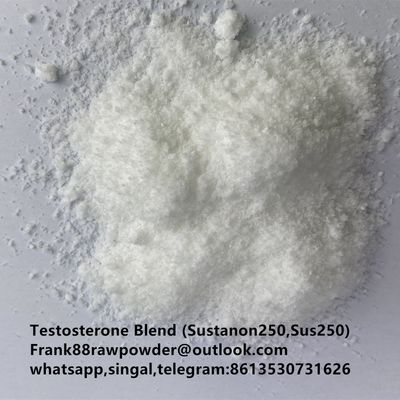 99% purity Testosterone Blend (Sustanon250,Sus250 )Testosterone Mixed steroid raw powder cas 58-22-0