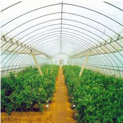 Green black and blue greenhouse shade plastic net