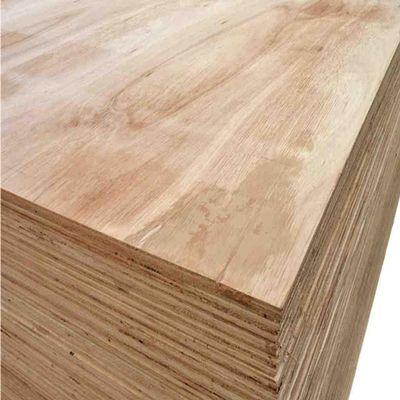 Birch Veneer for Plywood