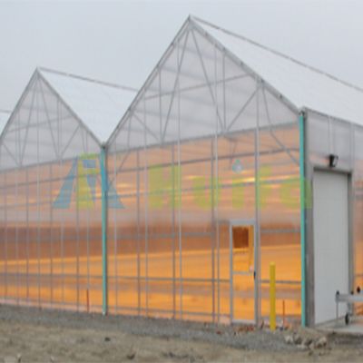 High quality greenhouse commercial hemp blackout light deprivation greenhouse