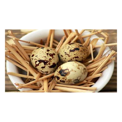 Quail egg feeding factory supply Weight of 425g 850g 3kg salted quail eggs canned quail eggs in brin