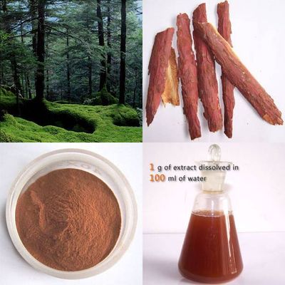 Pine Bark Extract OPC 95%UV