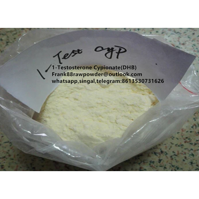 99% purity DHB 1-Test Cyp Dihydroboldenone 1-Testosterone Cypionate steroid raw powder CAS 65-06-5