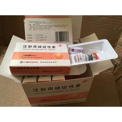HCG (5000IU/vial ,10vials/kit ) (Livzon Brand ) ( Original ) Human Chorionic Gonadotropin