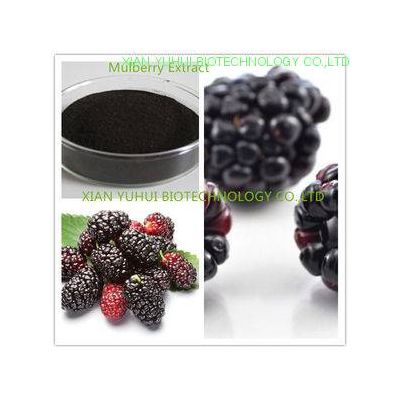 Mulberry Extract,mulberry fruit extract,mulberry fruit extract powder
