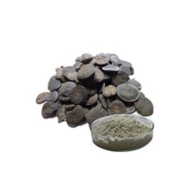Pure Griffonia simplicifolia seed extract 5-HTP wholesale/5-Hydroxy Tryptophan powder/5-HydroxyTrypt